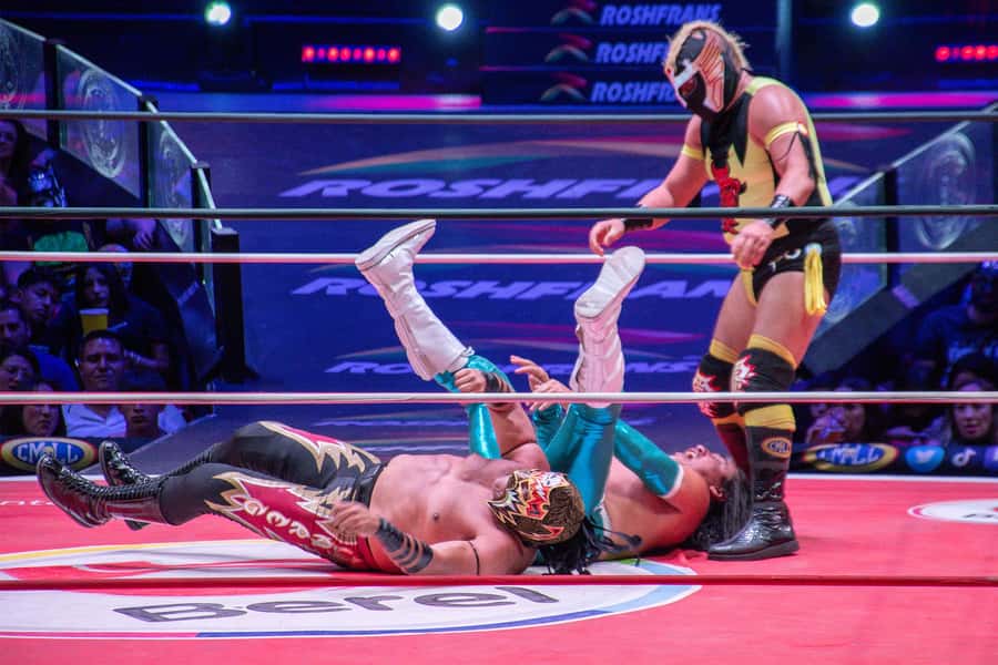 Mexico City: Mexican nightlife with shots and lucha libre - Key Points