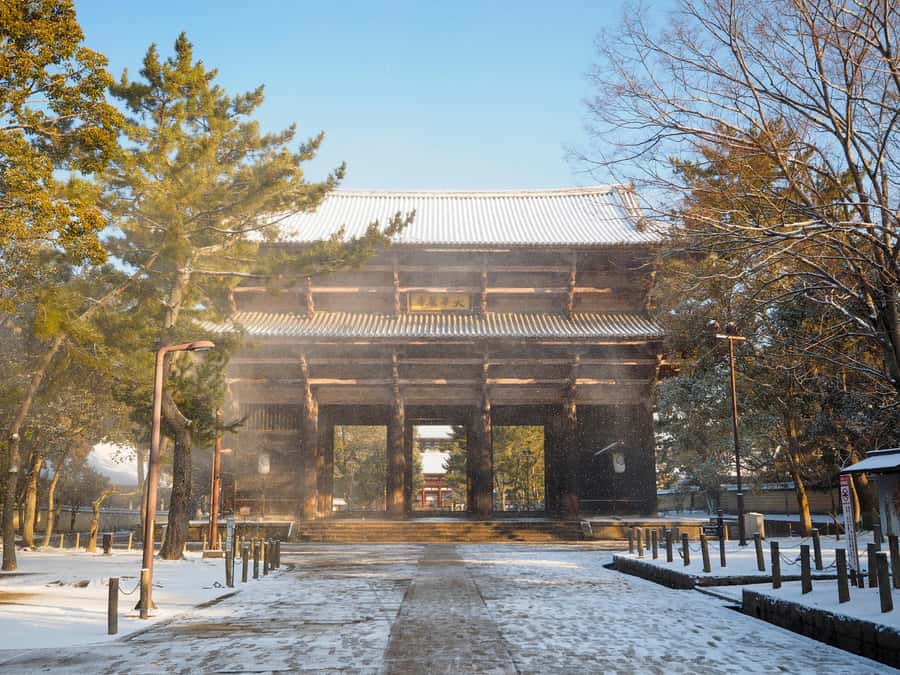 Osaka: Kyoto and Nara Day Tour with 7 to 9 Must-See Spots - Frequently Asked Questions