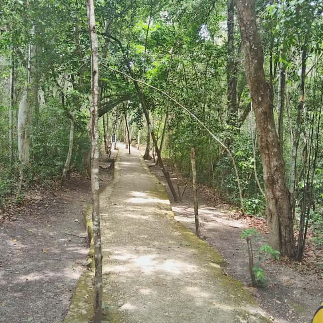 Bacalar: Calakmul ruins tour jungle and the bat volcano.. - FAQ