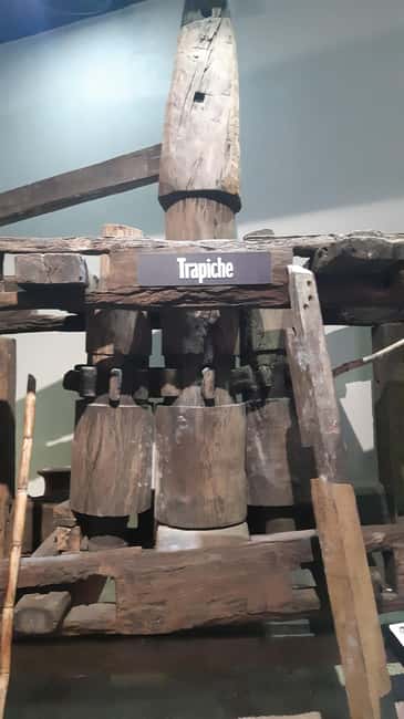 Punta Cana: Private Dominican Flavors Cultural Half-Day Trip - Key Points