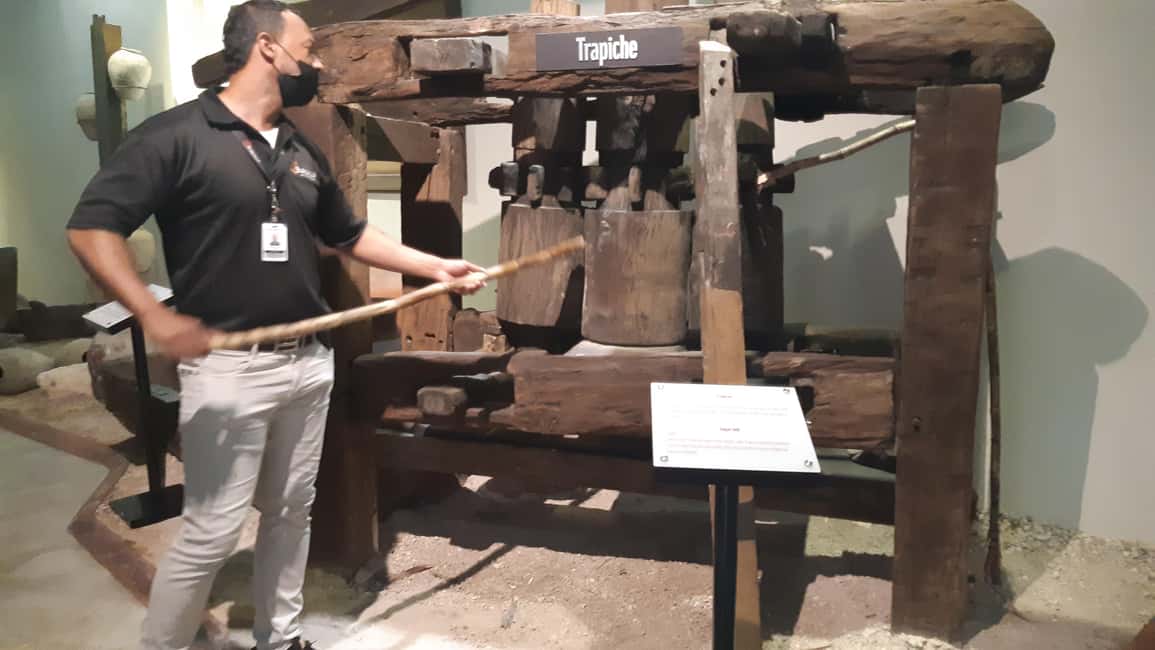 Punta Cana: Private Dominican Flavors Cultural Half-Day Trip - The Sum Up