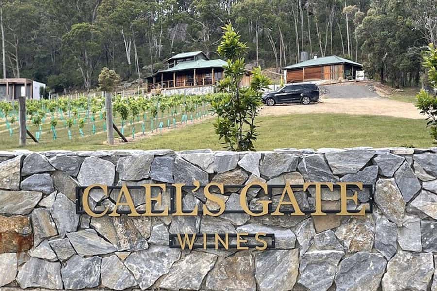 Cael's Gate Wine Tasting with Cheese and Charcuterie Board - A Quick Look at the Experience