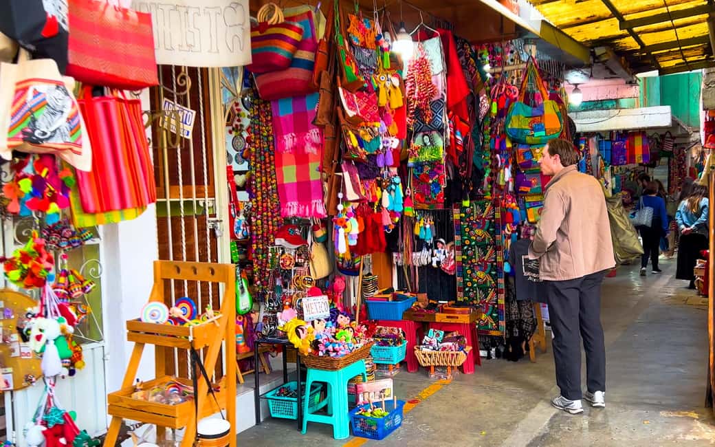 CDMX: Exotic Food and Market Tour - Who Should Consider This Tour?