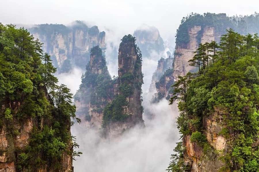 9-Day Tour Through Wudang,Chengdu,Dujiangyan&Zhangjiajie - Who Will Love This Tour?