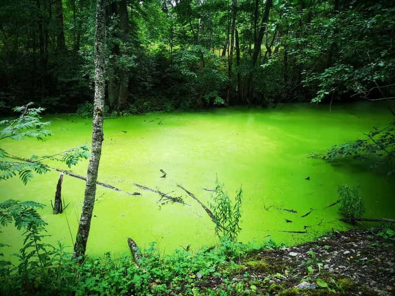 Tallinn: Astangu Nature and History Hike - Who Should Consider This Tour?