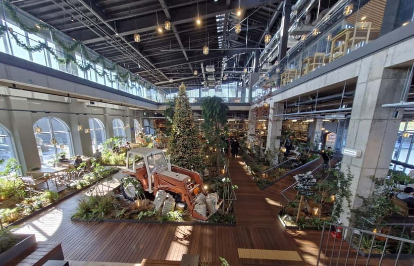 Jeju 4.3 Incident History & Cultural Tour with a Guide (SW) - A Closer Look at the Itinerary and Highlights