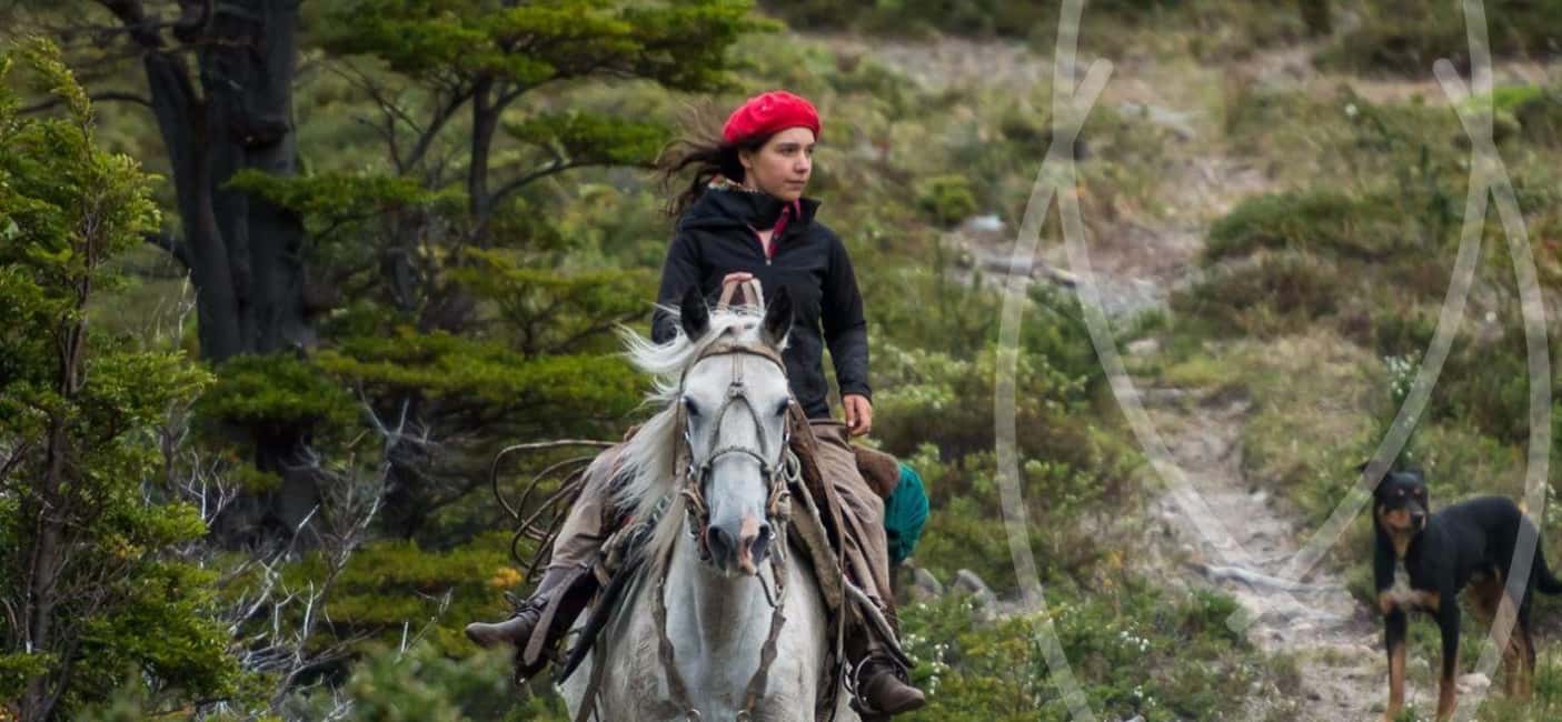 From Samaná: El Limón Waterfall Horseback Ride with Lunch - Practical Details and Value