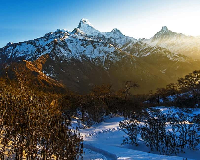 Hidden Himalayas: 8-Day Mohare Danda Trek via Nagi Village - Exploring the 8-Day Mohare Danda Trek
