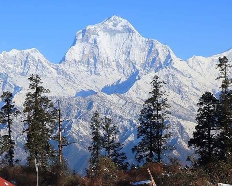 Hidden Himalayas: 8-Day Mohare Danda Trek via Nagi Village - Good To Know