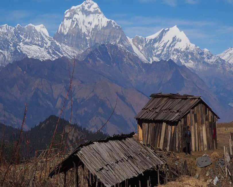 Hidden Himalayas: 8-Day Mohare Danda Trek via Nagi Village - Introduction