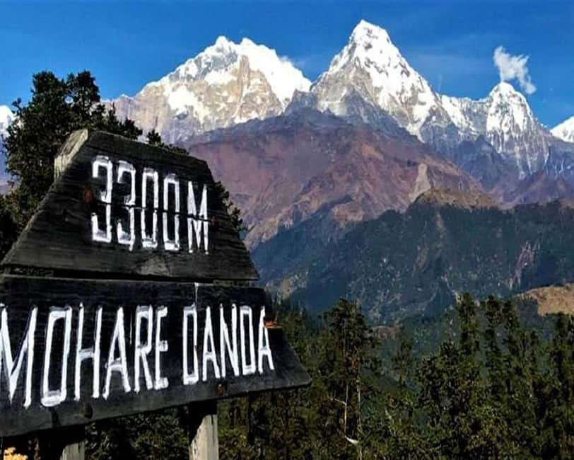 Hidden Himalayas: 8-Day Mohare Danda Trek via Nagi Village - What Makes This Trek Valuable?