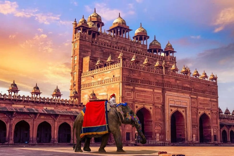 Agra Drop via Bharatpur & Fatehpur Sikri from Delhi - Final Thoughts: Is This Tour Right for You?