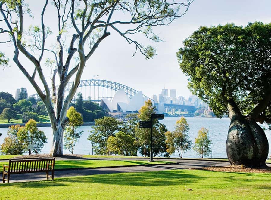 Sydney: City Hike with Opera Bar Lunch - What You Can Expect Throughout the Tour
