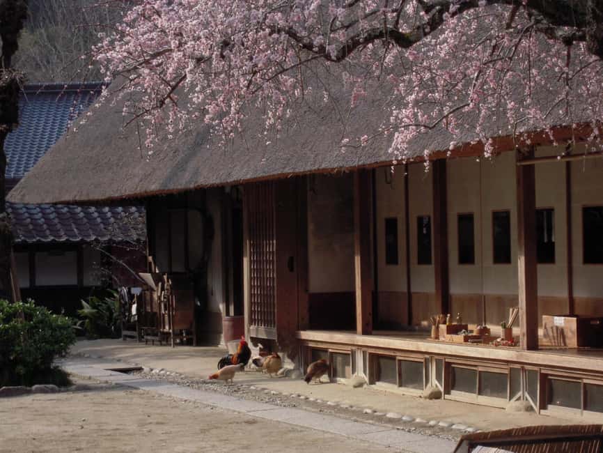 From Nagoya: Discover Aichi  Korankei, Miso, & Inari Shrine - Frequently Asked Questions