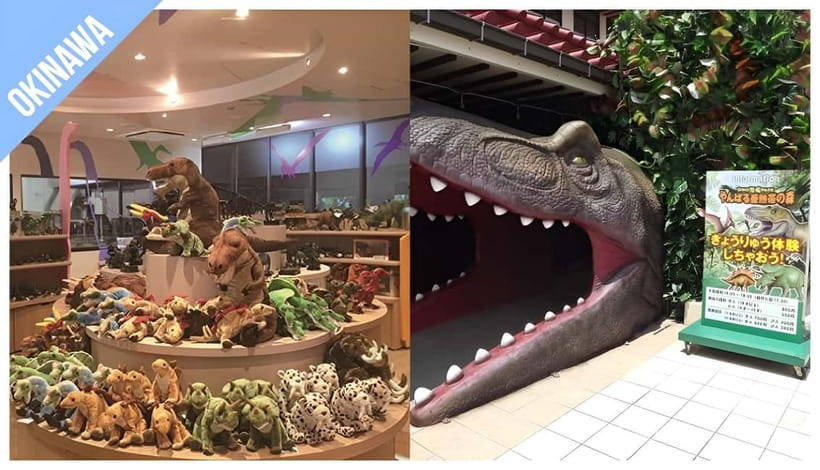 Have Fun in OKINAWA Pass (1 Week Free Pass) - Good To Know