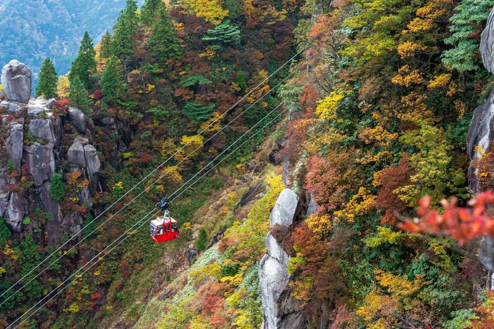 From Nagoya: Yoro Falls & Mt. Gozaisho Scenic Ropeway - The Sum Up