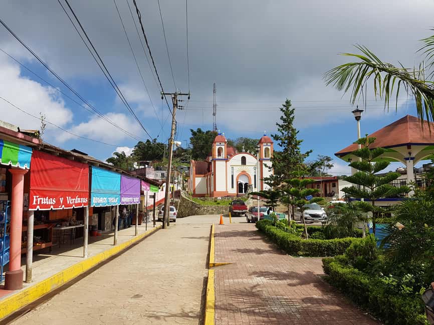 From Huatulco: 3 Levels, Coffee, Culture, and Nature Tour - The Perfect Audience for This Tour