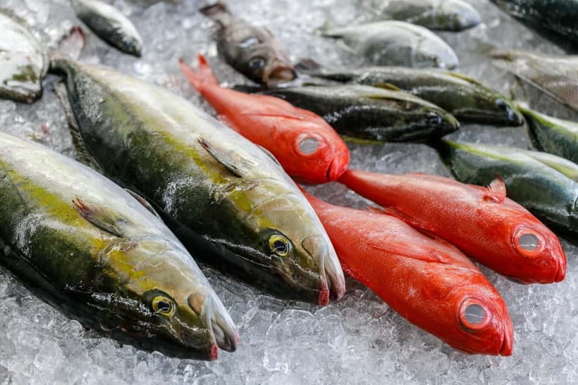 Luxury Fish Shop Tour : Exclusive Backyard Experience - Key Points