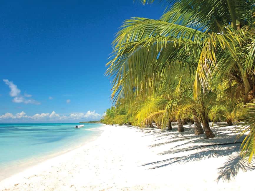 Punta Cana: Saona Island Speedboat and Catamaran Tour - Exploring the Experience in Detail