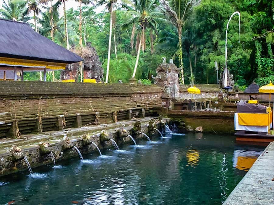 Ubud Customized Tour-Ubud Charter - Authentic Insights from Reviews