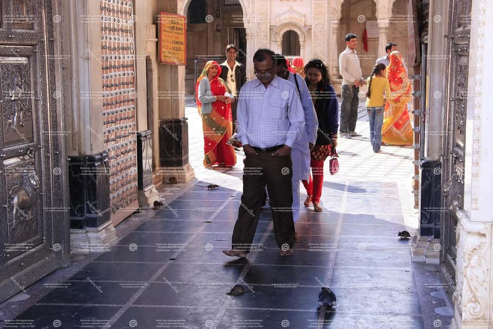 From Bikaner: Rat Temple Tour with Drop-off at Jodhpur - Frequently Asked Questions