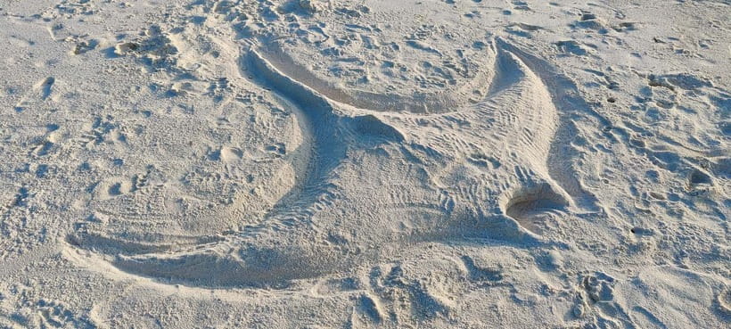 Maldives: Sandbank, Snorkelling & Sunset Cruise - Relaxing on a Secluded Sandbank