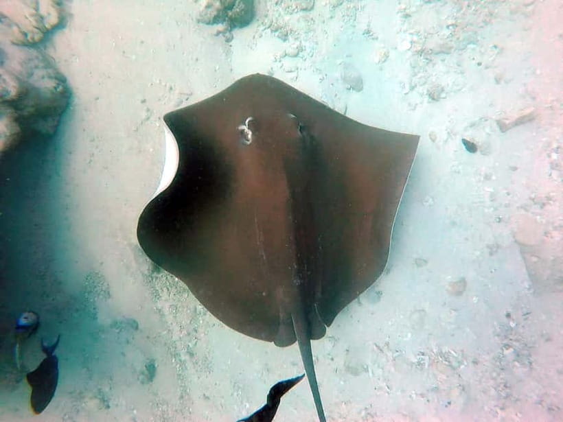 Maldives: Sandbank, Snorkelling & Sunset Cruise - Sunset Cruise: The Perfect End