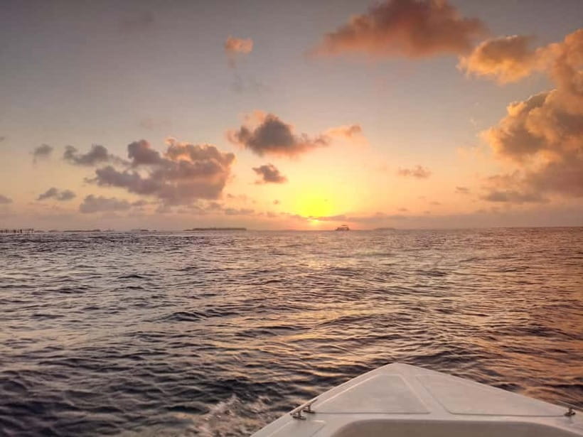 Maldives: Sunset Cruise with Dolphin Watching - Analyzing the Value: Is It Worth It?