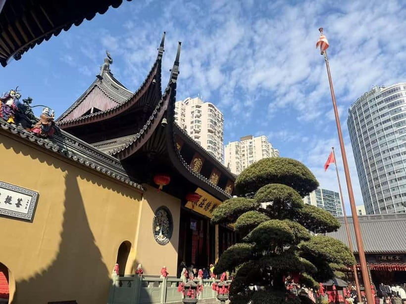 Shanghai: 3-hour Street Food and Temple Tour - Walking into the Street Food Scene