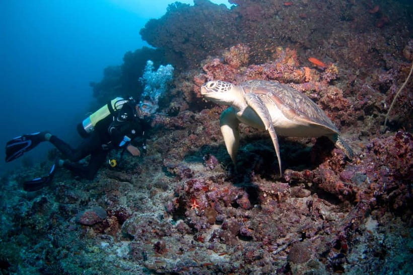 Maldives: Discover Scuba Diving - Introduction to the Maldives Discover Scuba Experience  