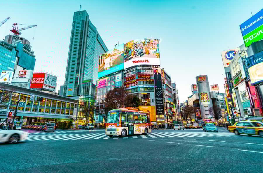 Tokyo Private Tour  Discover the Best of Japans Capital - What to Expect from Your Day in Tokyo