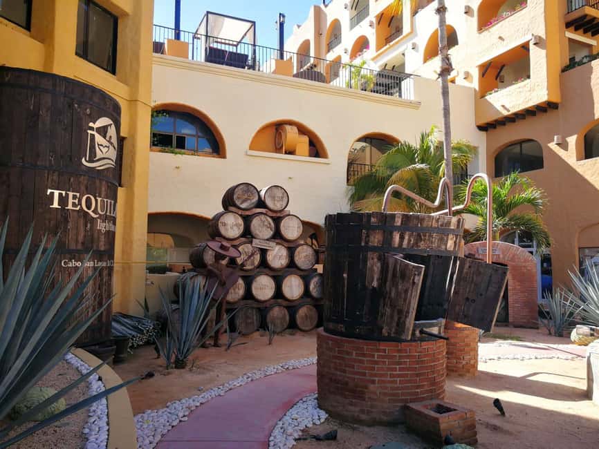 City Tour to Cabo San Lucas and Transparent boat to the Arch - Authenticity and Authentic Experiences