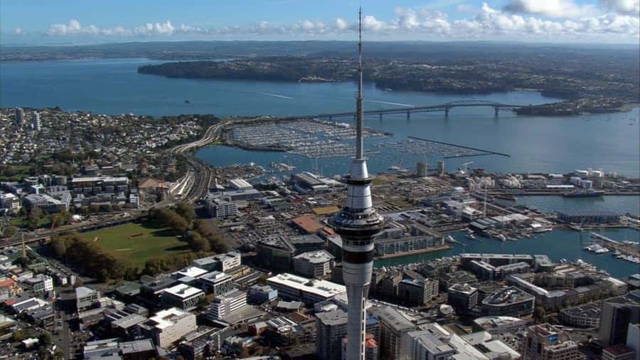 Auckland: Scenic City Discovery Half-Day Tour - Final Thoughts