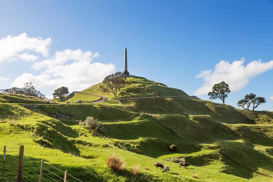 Auckland: Scenic City Discovery Half-Day Tour - An In-Depth Look at the Auckland Scenic City Discovery Tour