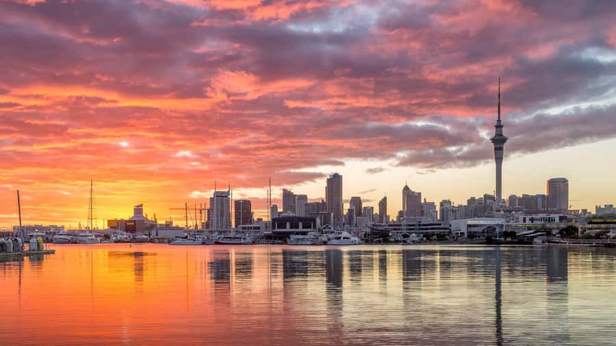 Auckland: Scenic City Discovery Half-Day Tour - Who Should Book This Tour?