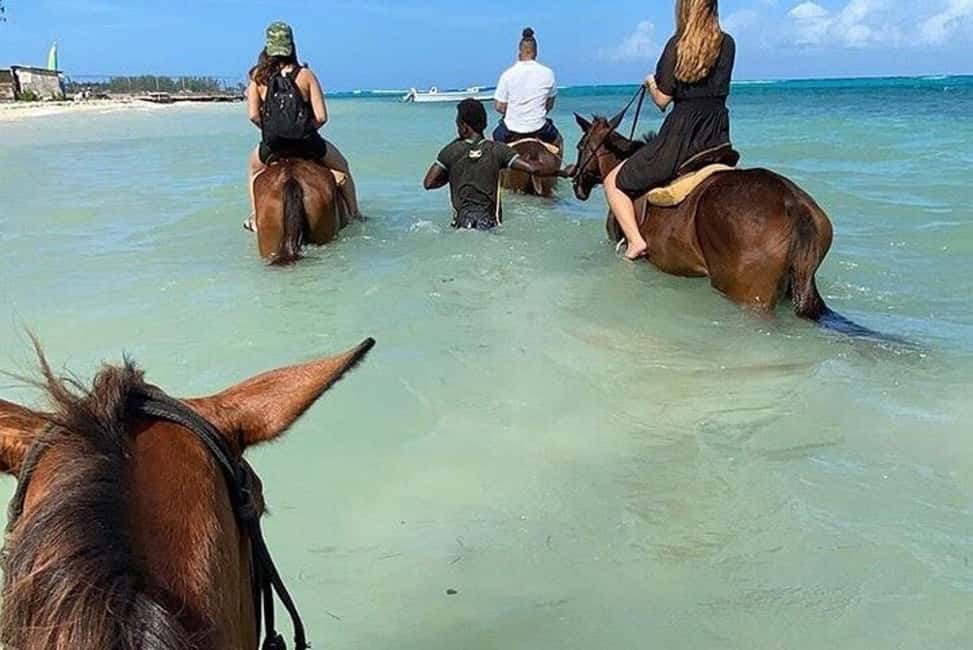 Montego Bay: Private Horseback Ride & Blue Hole Tour - In-Depth Analysis of the Value