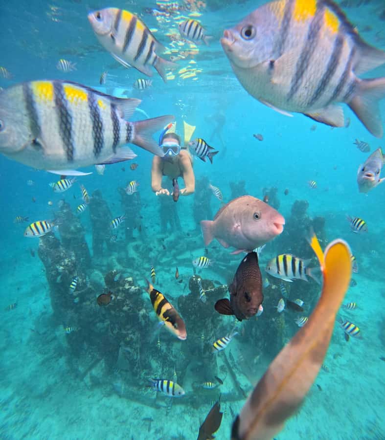 Ultimate Snorkeling Escape to the Wonders of Gili Island - Introduction to the Gili Islands Snorkeling Experience