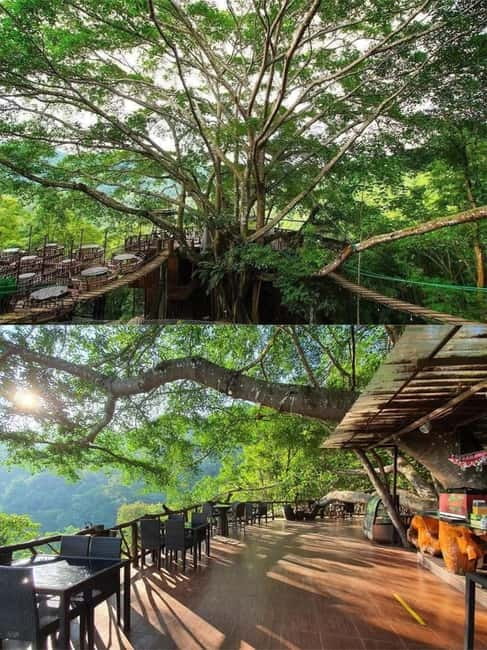 Chiang Mai: The Giant Café & Mae Kampong Village Day Trip - Price and Value Analysis