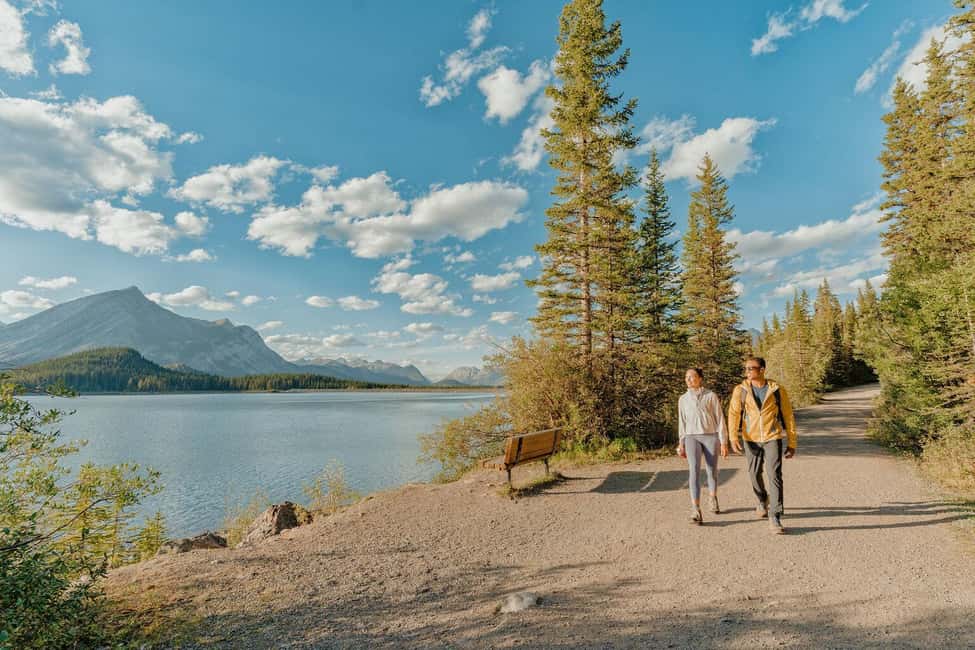 Canmore: Medicinal and Edible Plants, 2-hour Nature Walk - The Sum Up