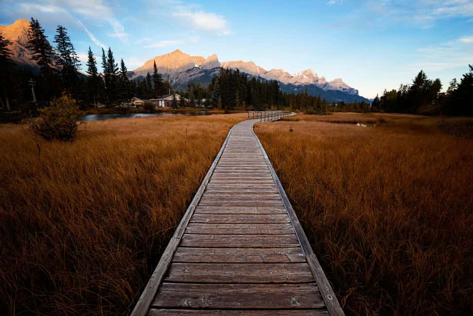 Canmore: Medicinal and Edible Plants, 2-hour Nature Walk - Frequently Asked Questions
