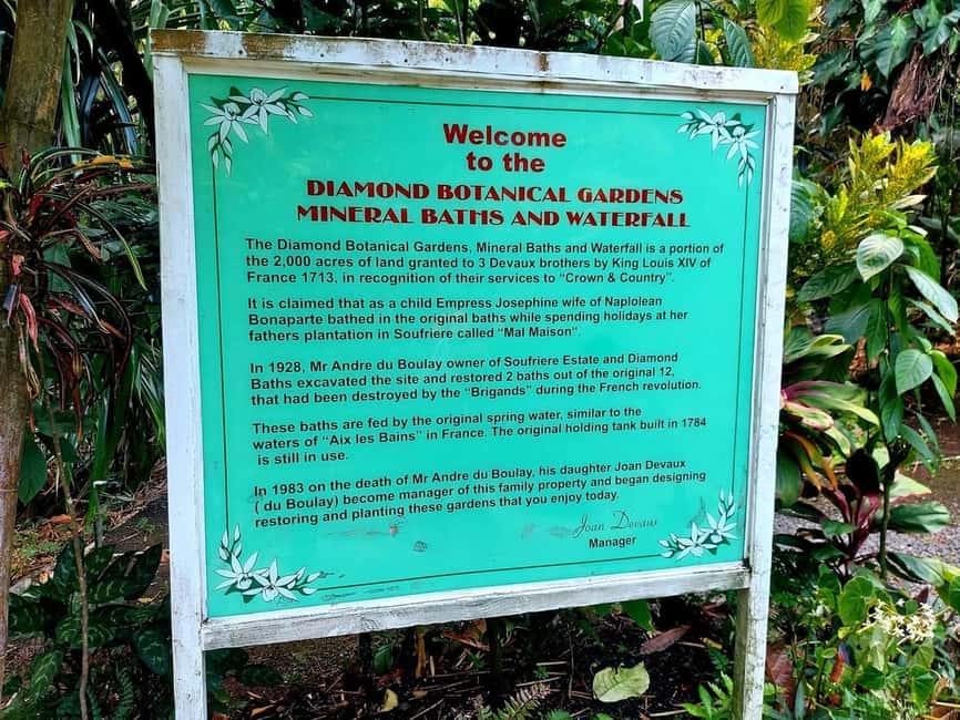 St. Lucia: Scenic Nature Hike & Botanical Garden Escape - The Sum Up