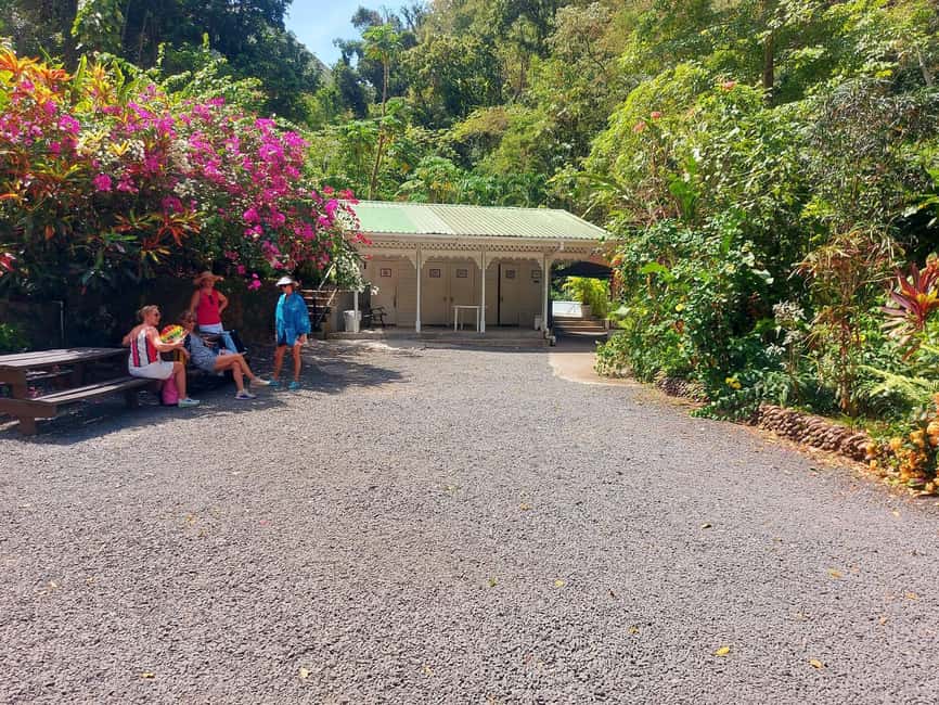 St. Lucia: Scenic Nature Hike & Botanical Garden Escape - A Balanced Look at the Tour Experience