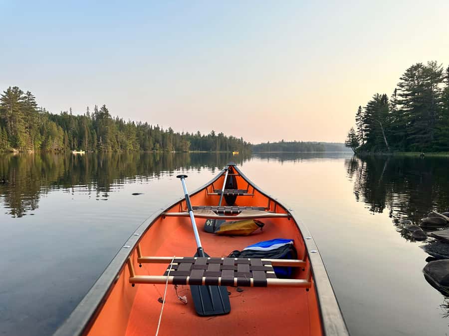 Algonquin Park Day Tour: Canoeing Adventure - Scenic Breaks and Lunch
