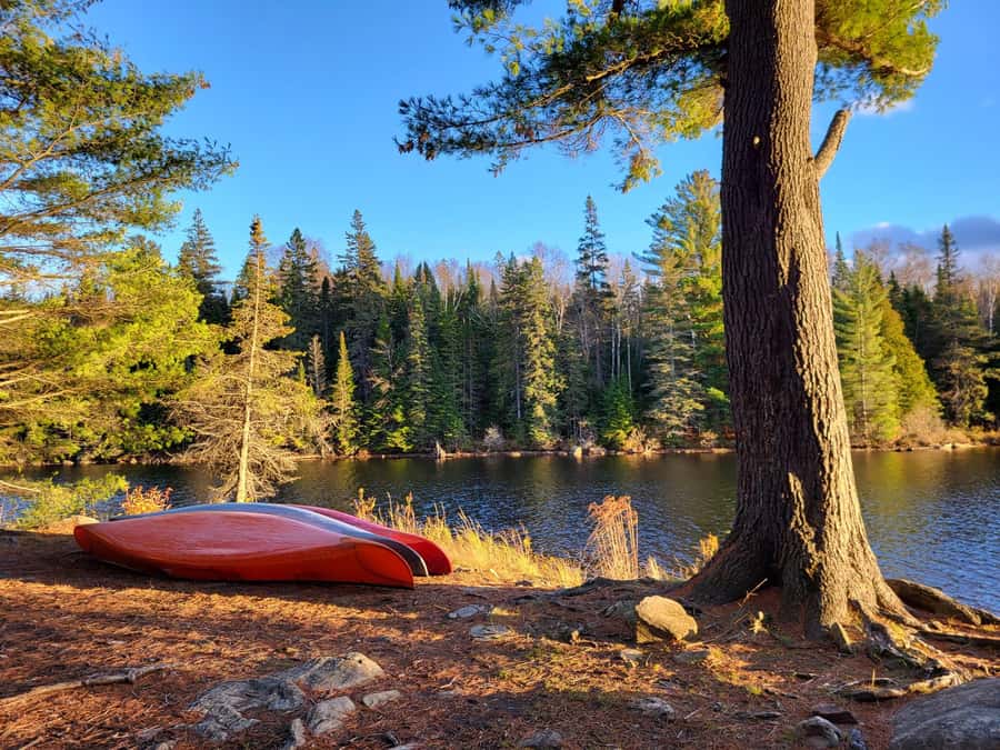 Algonquin Park Day Tour: Canoeing Adventure - Learning About Algonquin’s Heritage