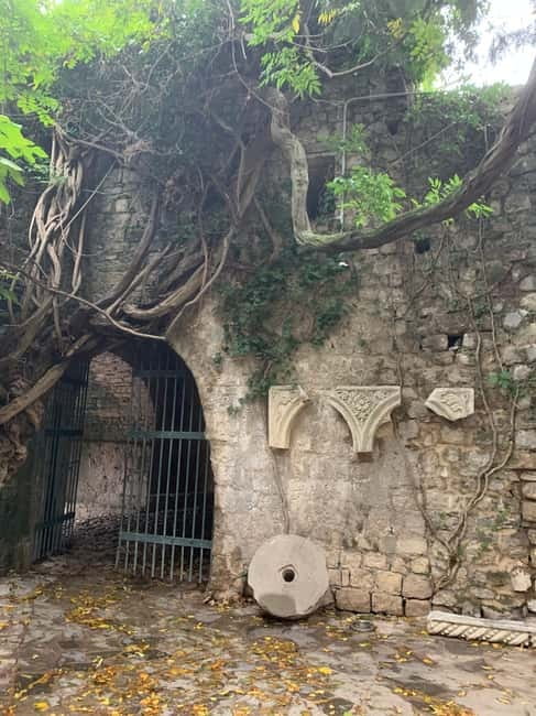 From Tirana: Shkodra and Ulcinj, Montenegro Day Tour - Who This Tour Is Best For