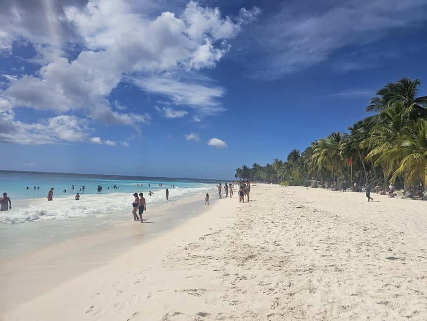 VIP tour to Saona Island by speedboat with a visit to paradise beaches - Introduction: What Makes This Tour Stand Out