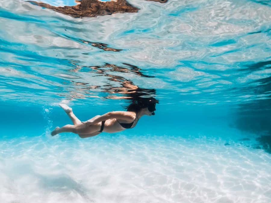 Bali: Exclusive Private Snorkeling & City Tour - Who Is This Tour Best For?