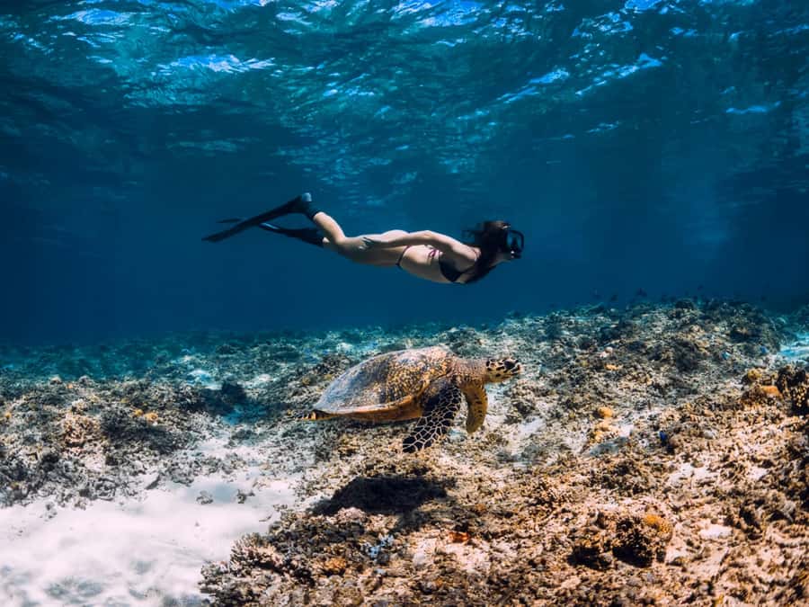 Bali: Exclusive Private Snorkeling & City Tour - Key Points