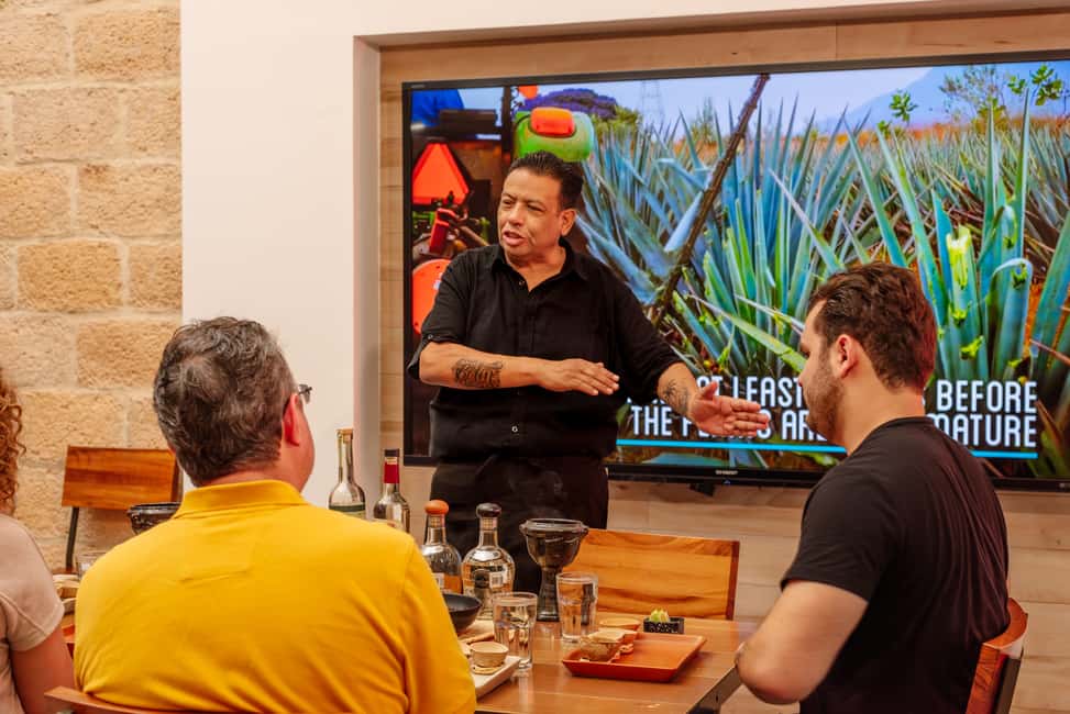 Cozumel: Degustación Maya Mezcal and Tequila - A Detailed Look at the Experience