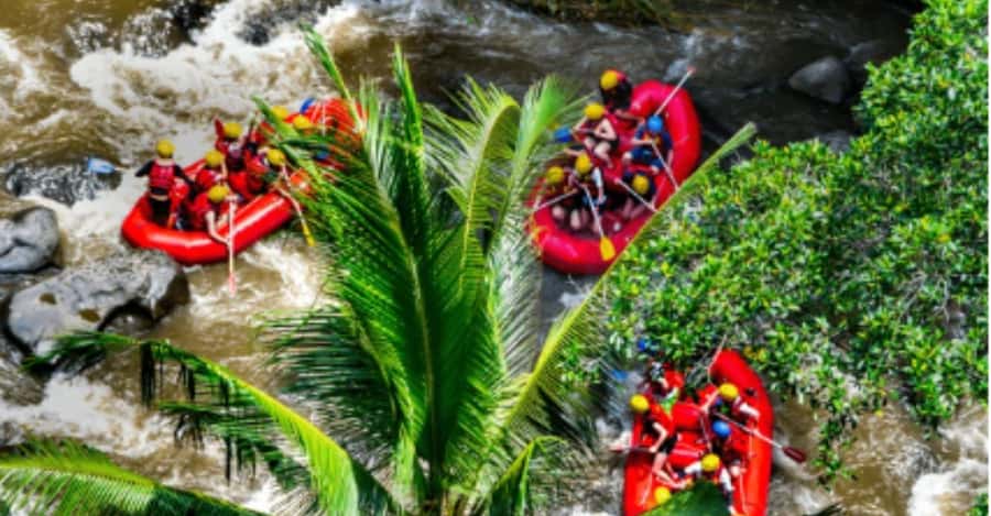 Ubud: Ayung River Rafting Adventure with Lunch and Transport - The Value of the Tour